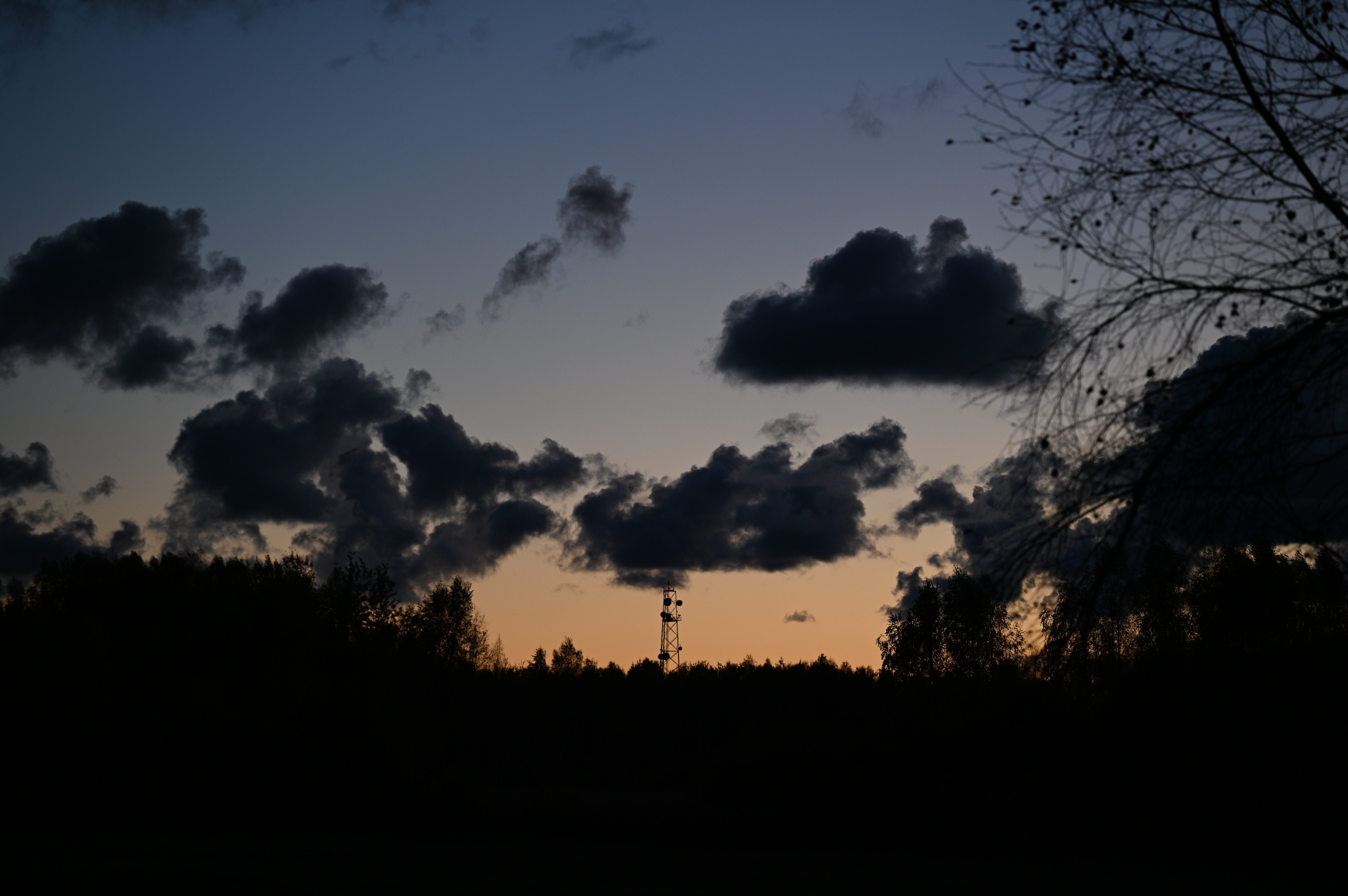 2025/10/18 - walk/DSC_0652.JPG